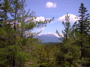 The view from atop the small mountain, back toward Katahdin