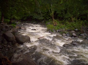 Long Pond Stream just before I turned back from it to return to Long Pond Stream Lean-to Long Pond Stream just before I turned back from it to return to Long Pond Stream Lean-to