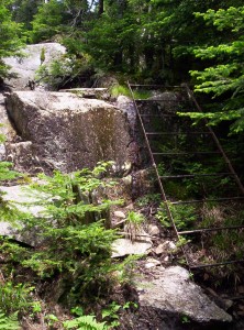 A thin (but sturdy) metal ladder over which the trail passed due to the steepness of the trail