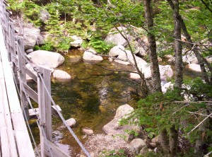 Water on the right side forms a larger pool, but one could still easily walk through it