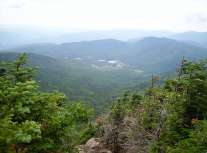 A view of Harvard Brook, if I've picked it out right in Google