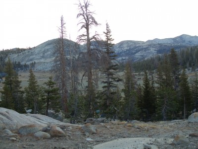 Mountains to the east of Long Meadow at sunrise