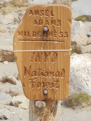 A wooden sign marking the entry to Ansel Adams Wilderness and Inyo National Forest