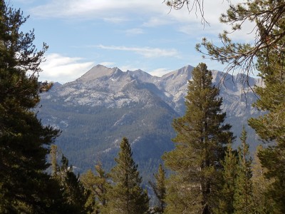 Mountains in the distance, framed by pine trees