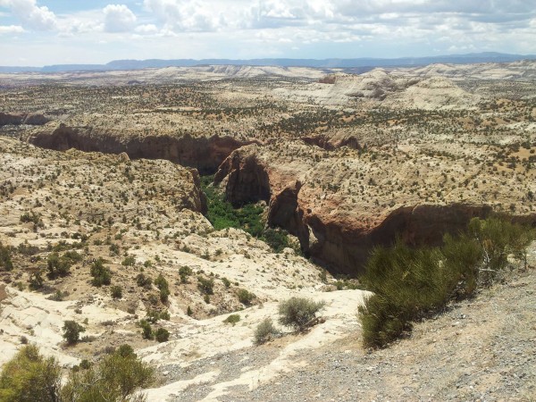 This arid, rugged Utah landscape nonetheless has a smattering of green scrub, and a canyon in the distance shelters trees and bushes